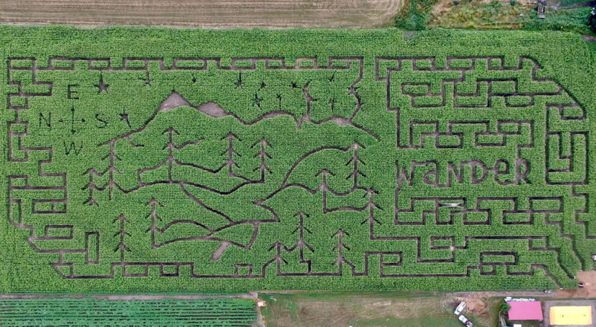 Win tickets to the Chilliwack Corn Maze