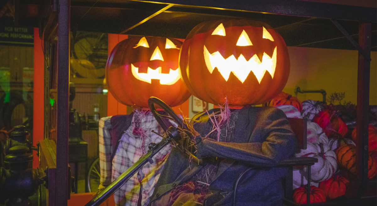 Experience Eerie Illusions!
