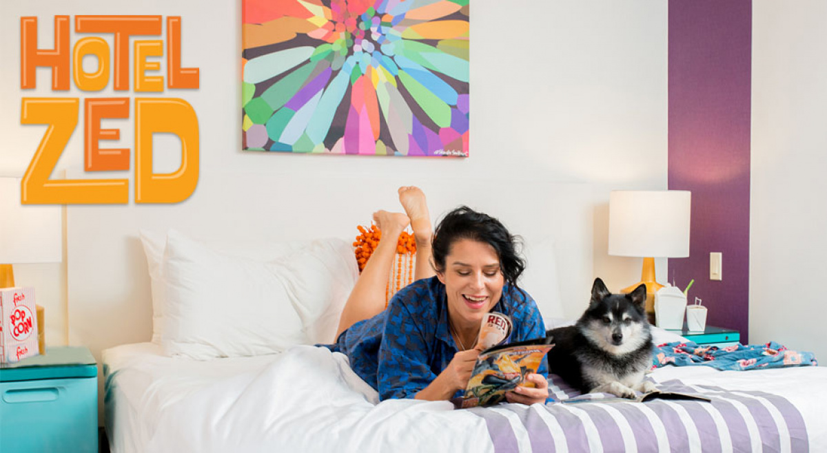 Win $500 for Hotel Zed!